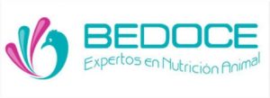 logo bedoce